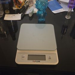 Taylor Scale 1 Gram To 5kg Weighing
