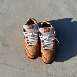 Orange Lobster Nike Dunk SB