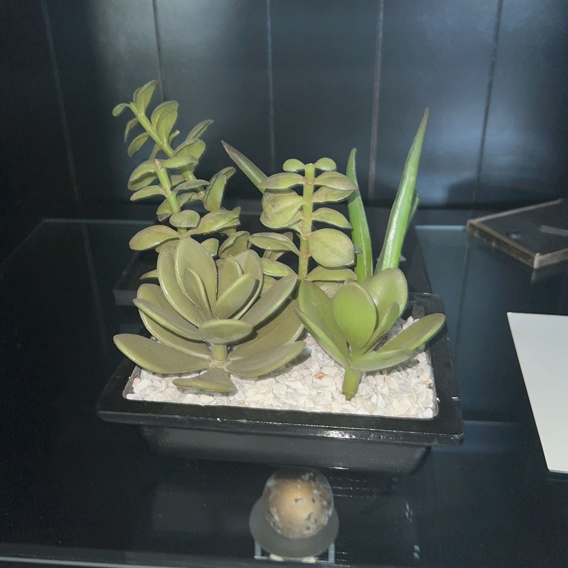 Four Artificial  Succulent  Plants And Two Candle Holders 