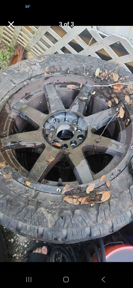 20 Inch Monster Rims