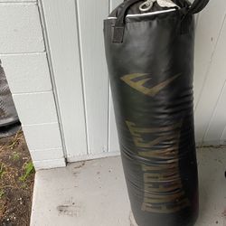 Everlast Heavy Bag 
