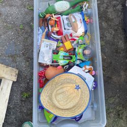 Toy Story 1 Dolls $100 For The Whole Box 