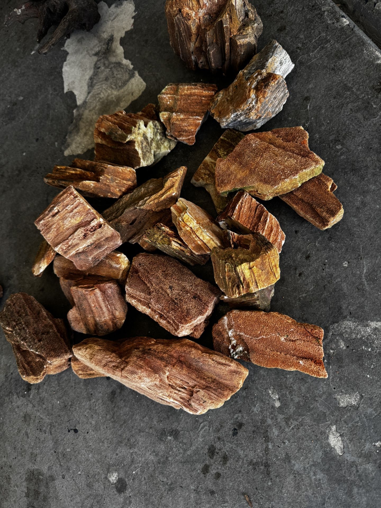 Aquarium Hardscape & Aquariums