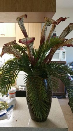 Floral arrangement
