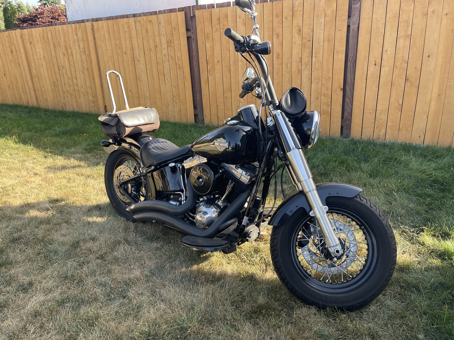 2015 Harley Davidson Slim-A Blast to Ride