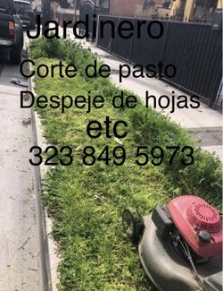 Jardinero