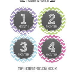 Baby Monthly Milestone Stickers