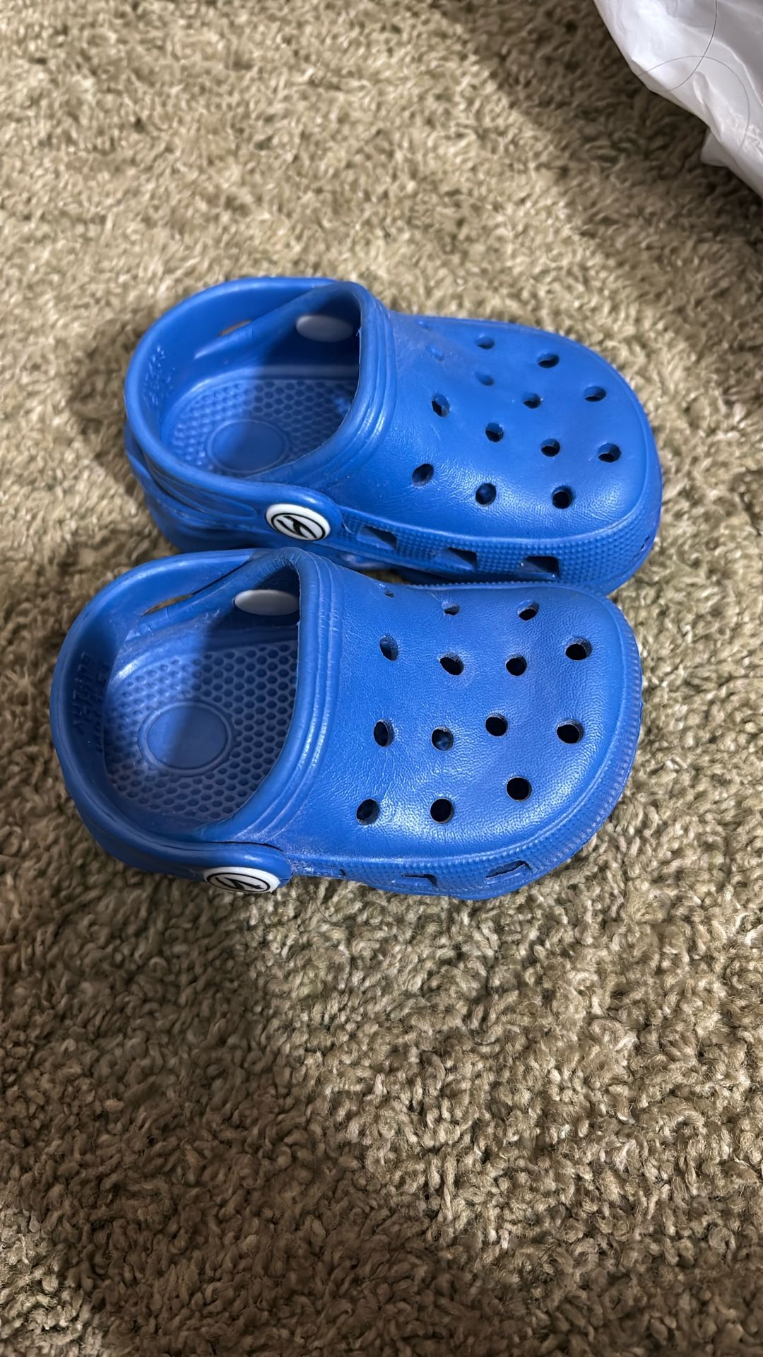 Baby crocs