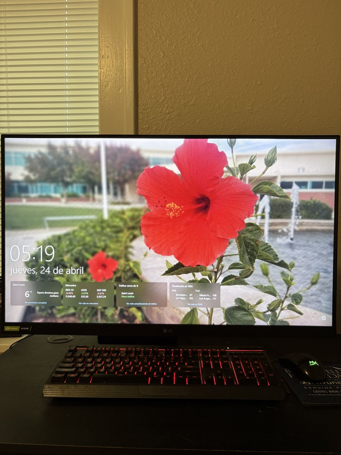 LG Gaming Monitor