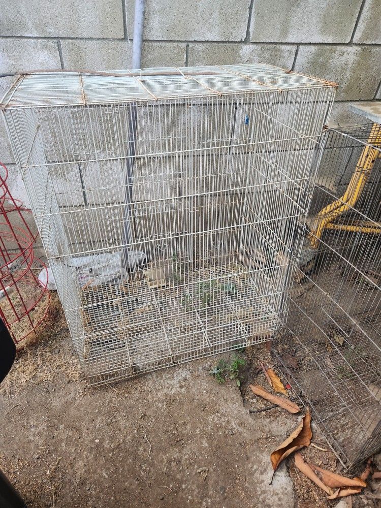 Bird Cage