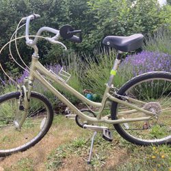 Giant Bike - Excellent Condition 