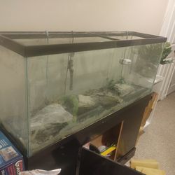 Aquarium And Supplies