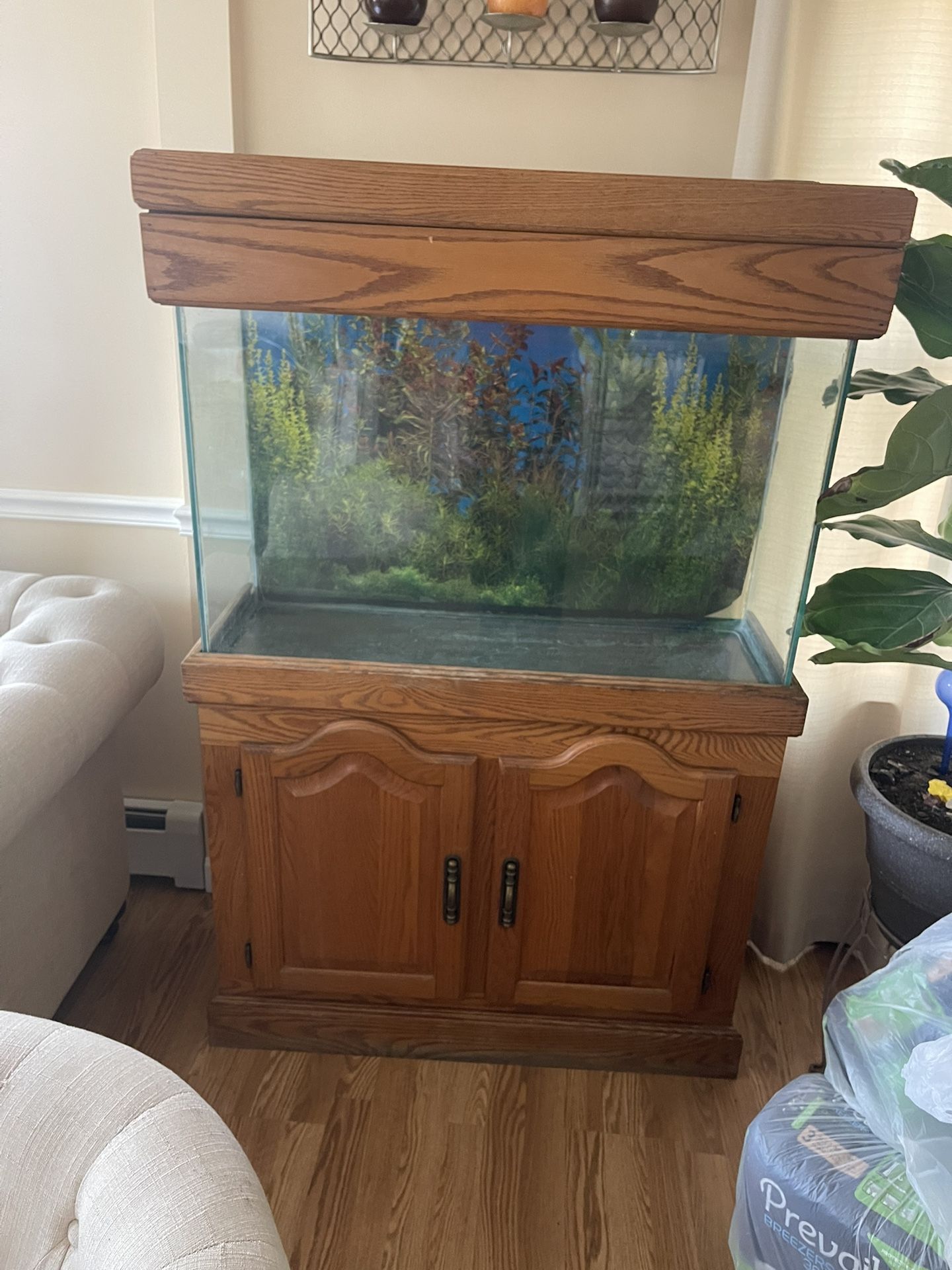 FISH🐠TANK