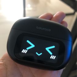 Bluetooth earphone