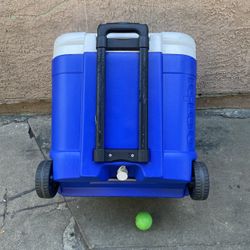Cooler 