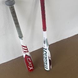 Cat X and Louisville bat