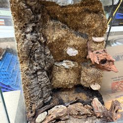 Vivarium Tank And Stand 