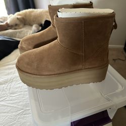 Platform Uggs 