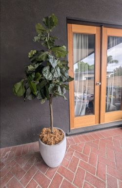 Faux Tree 6 ft
