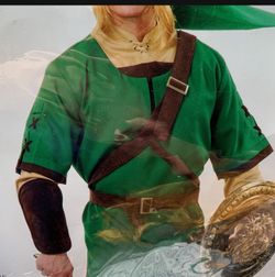 Zelda Costume