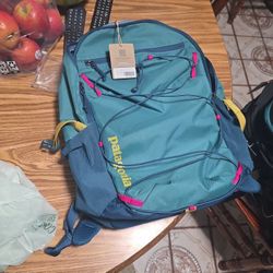  Patagonia Refugio Daypack 30L. 
