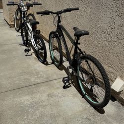 3  Bikes For $120