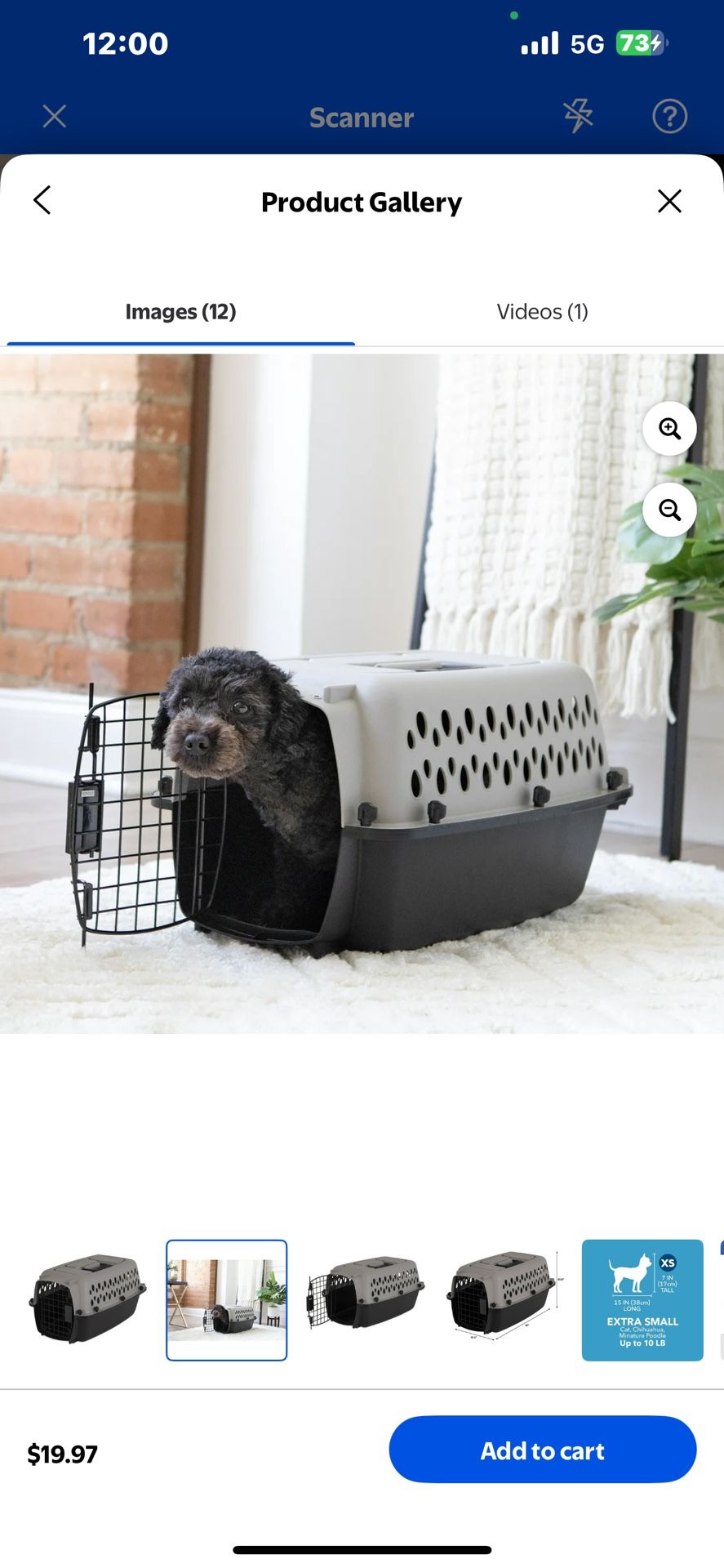 Vibrant Life Pet Kennel 19" X-Small Plastic Dog Crate Portable Carrier for Pets up to 10 lbs Brand New