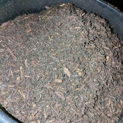 Organic Soil / Tierra Organica