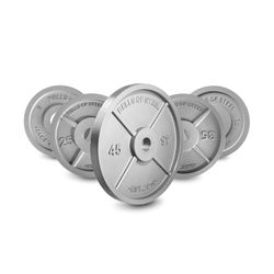 Steel Weights Used