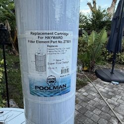 Filter Pool Clean & Clear