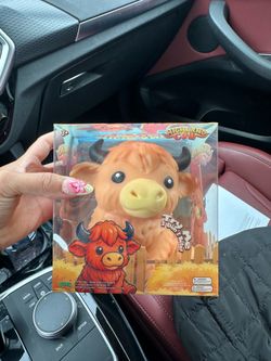 Highland cow squish