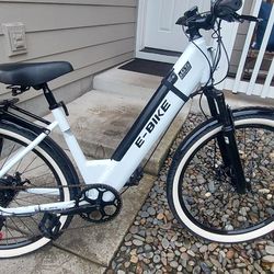 Ebike Mountain Bike