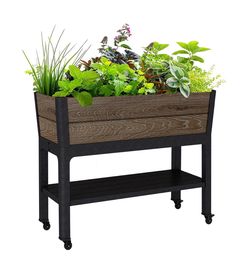 Keter Signature 29 Gallon Rolling Raised Garden Bed with Self Watering