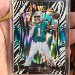 Sports Card