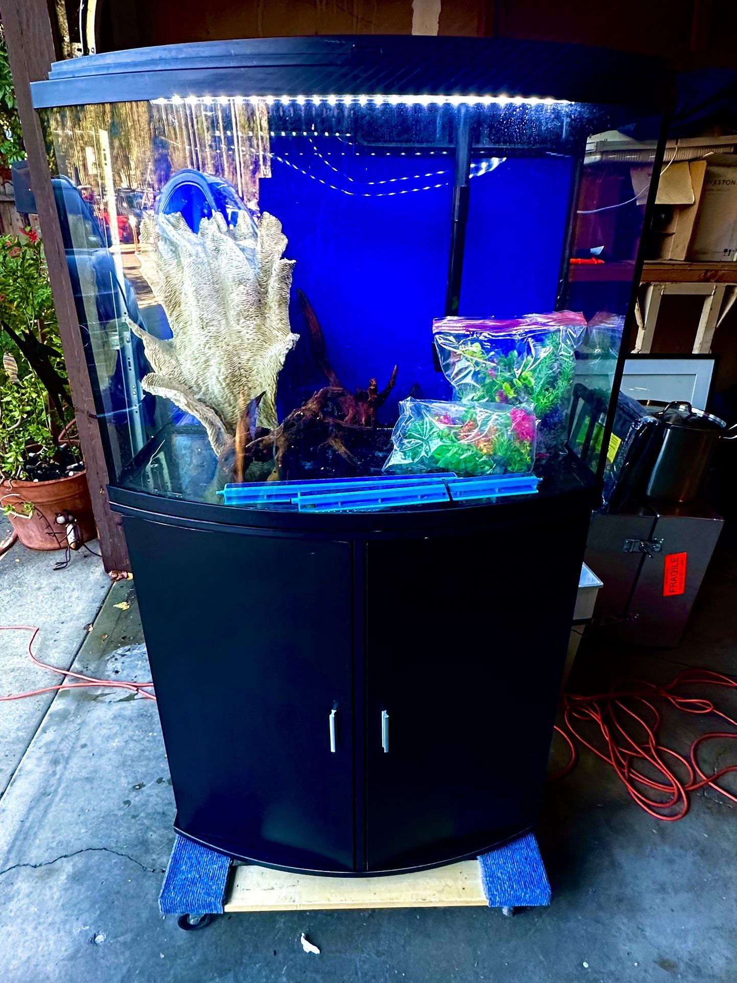 Concave Front 40 Gallon Fish Tank With Cabinet Stand, 1 Year Old