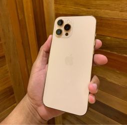 iPhone 12 Pro Max [ Gold ]
