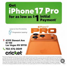17 Pro Max