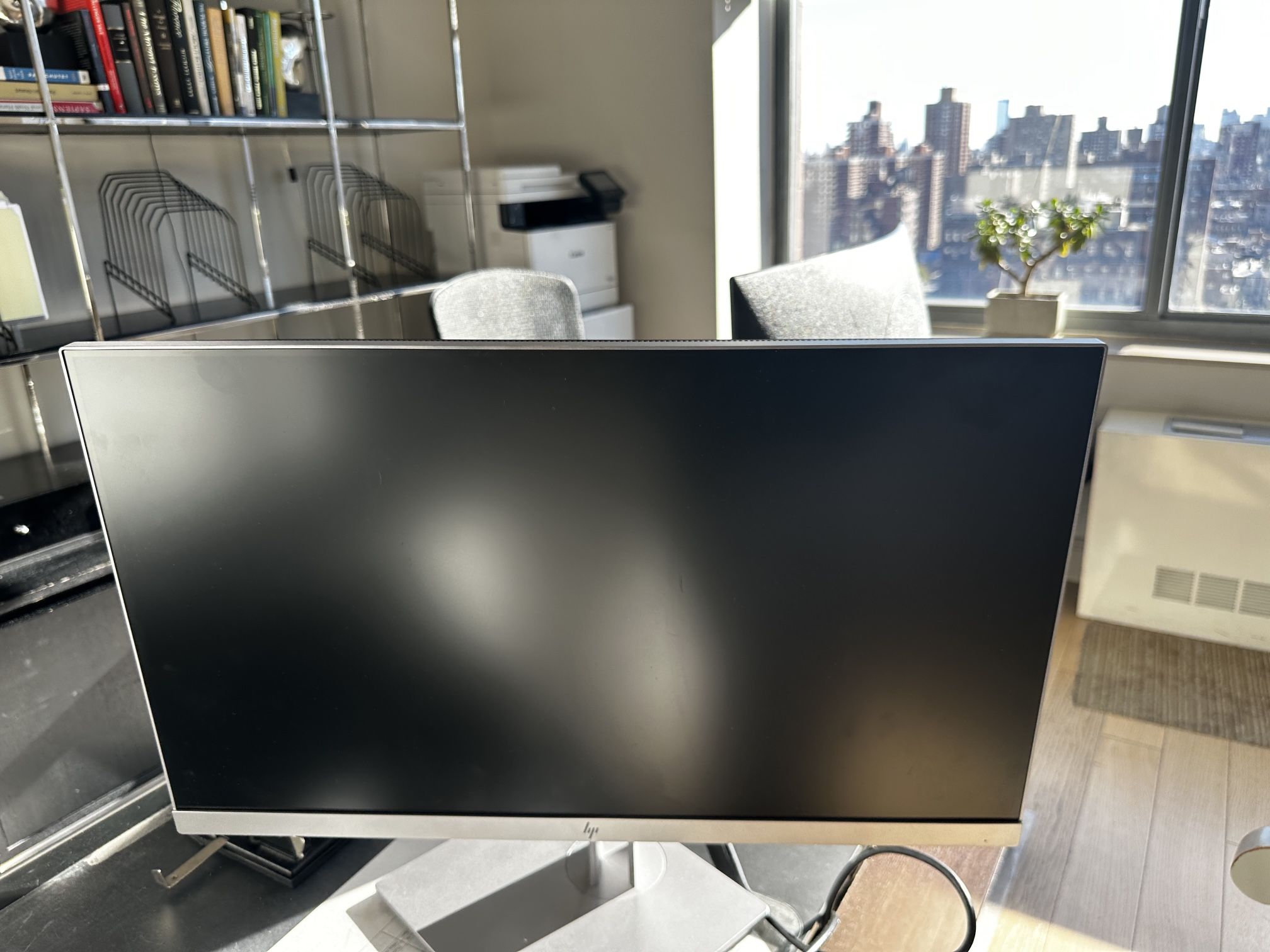 HP E243 Computer Monitor 24 Inch