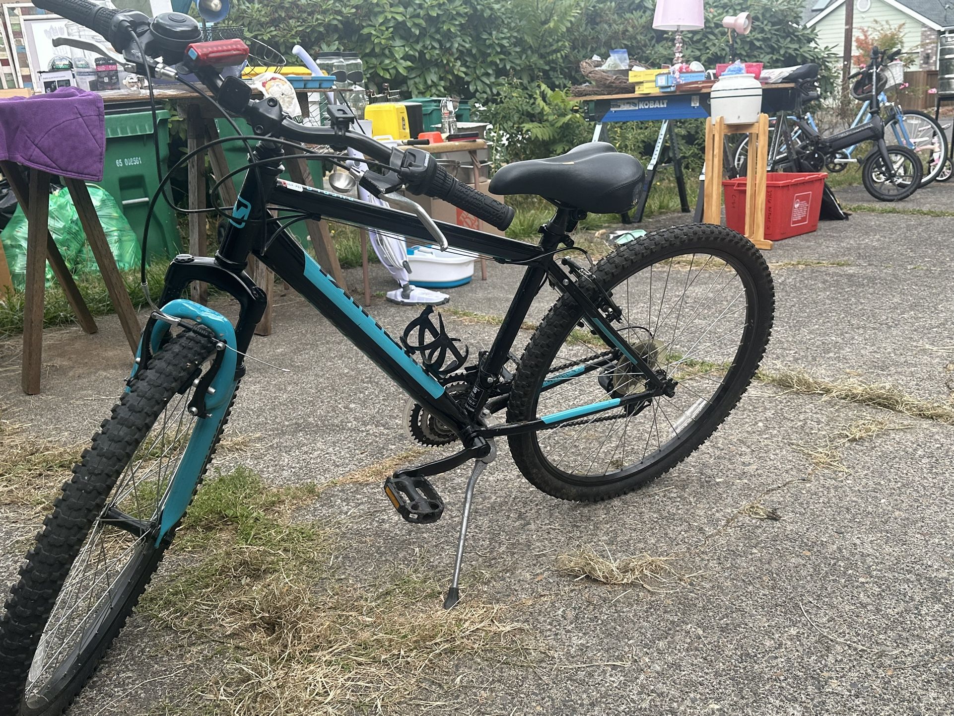 Nishiki Bike 100$ Like New
