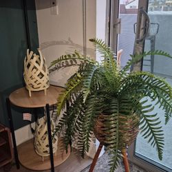 Offer All This For $55