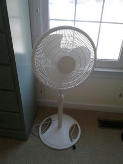 Summer stand fun