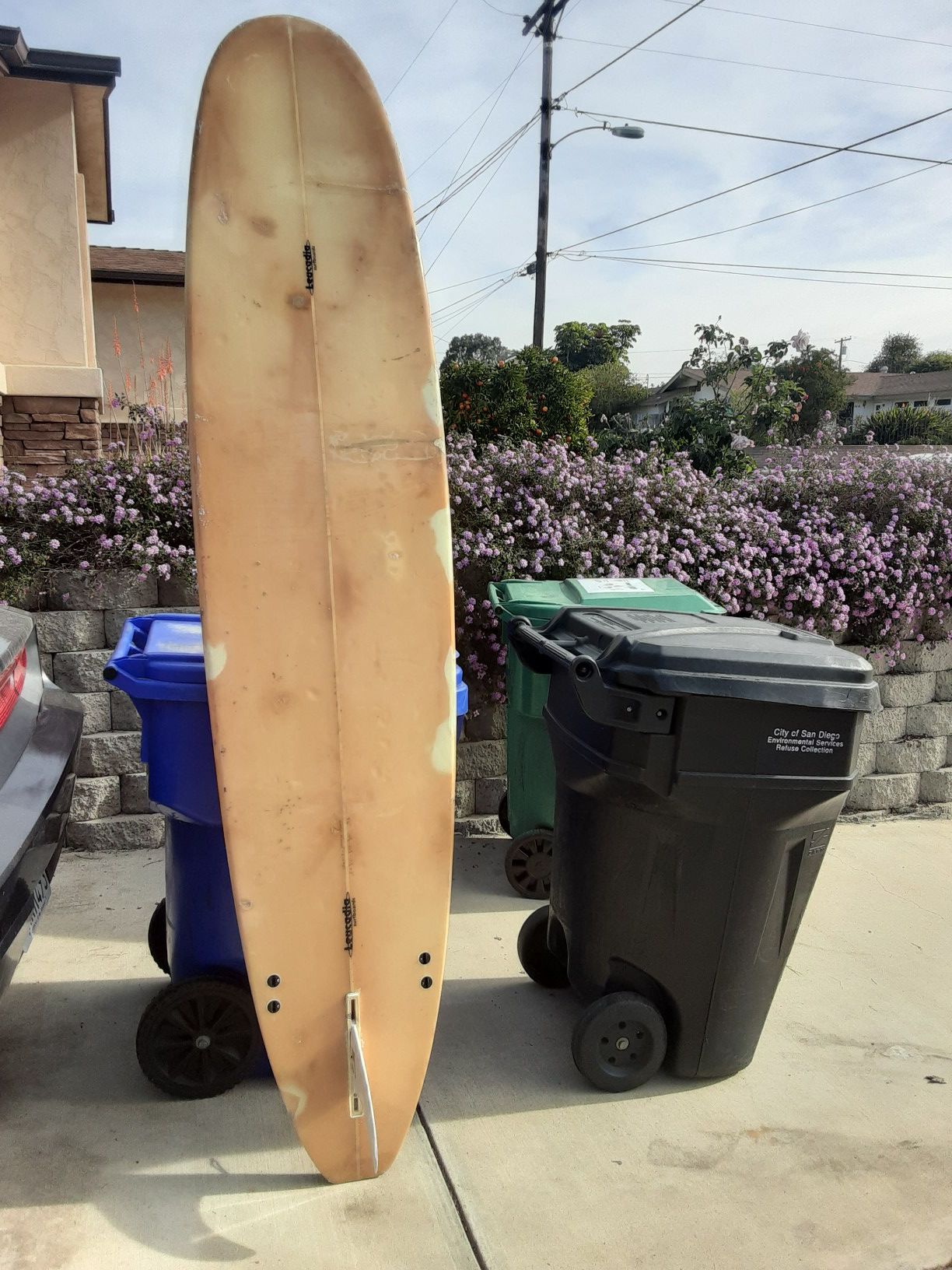 Leucadia Surfboard