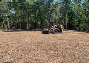 Forestry Mulching