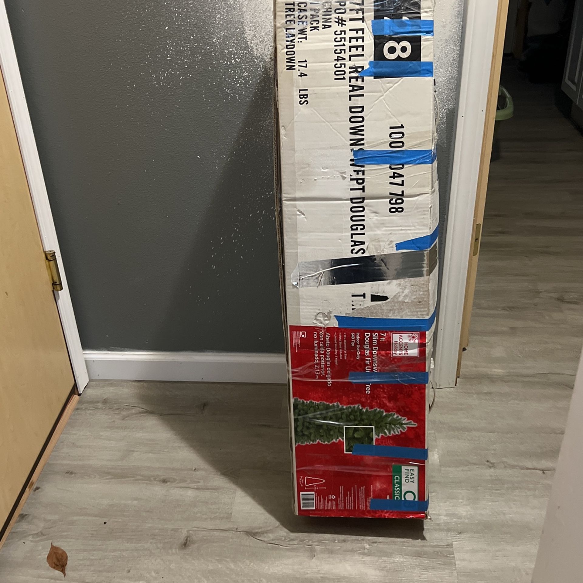 Slim Douglas Fir Tree