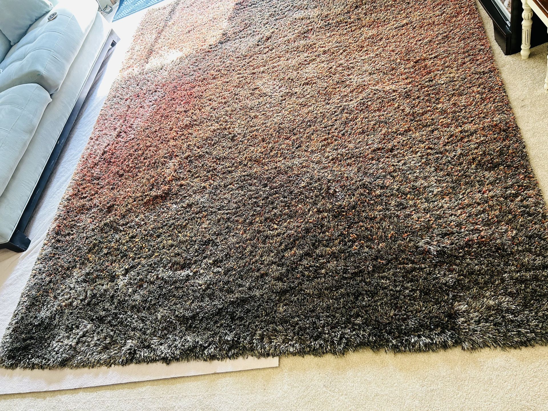 8x10 Shaggy Rug (Home Goods)