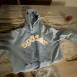 Spider Hoodie Looking For Trades 