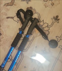 Hiking Sticks