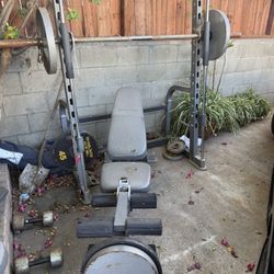 Bench Press , Squat rack , Leg extension