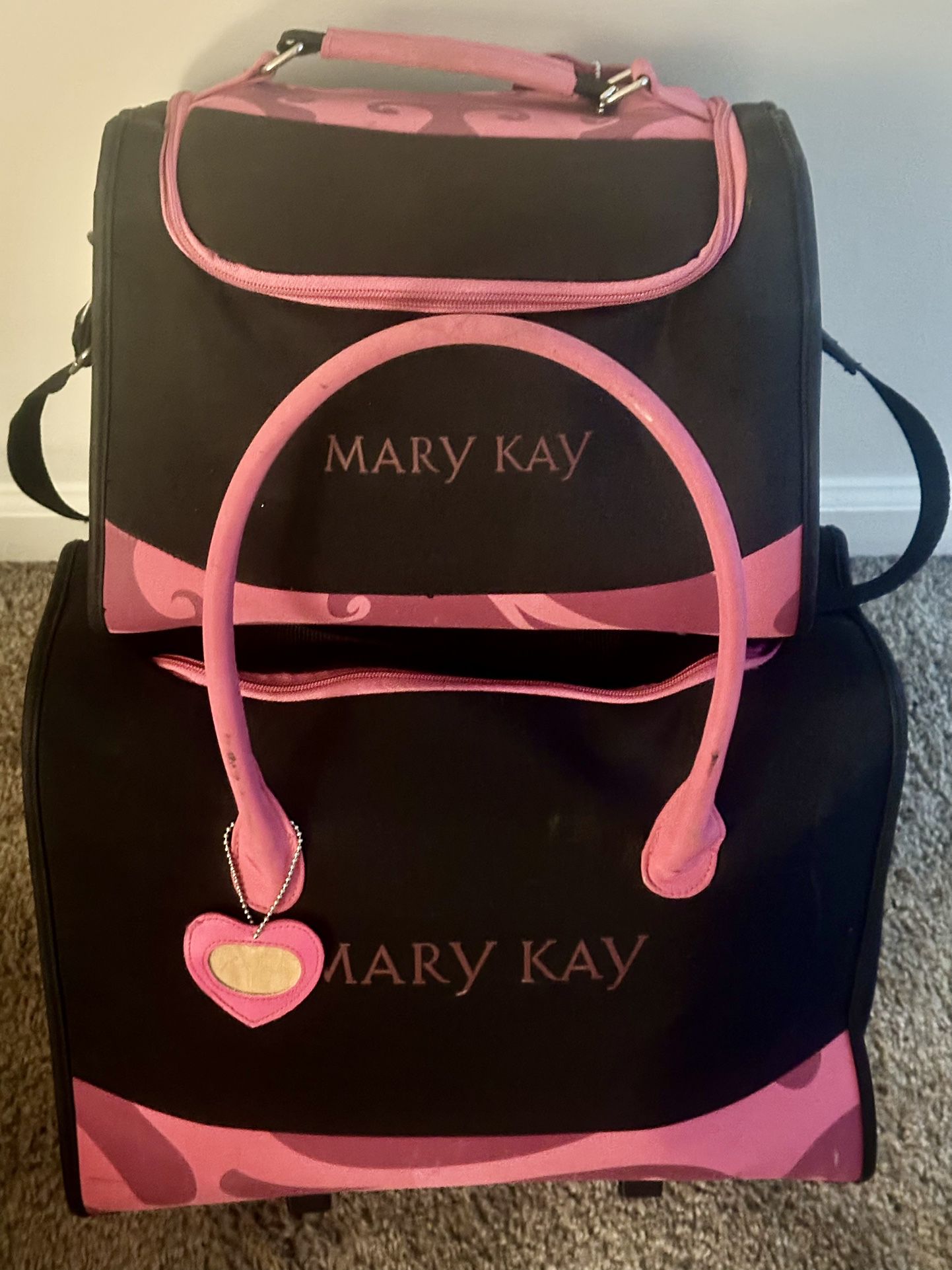 Mary Kay Luggage 