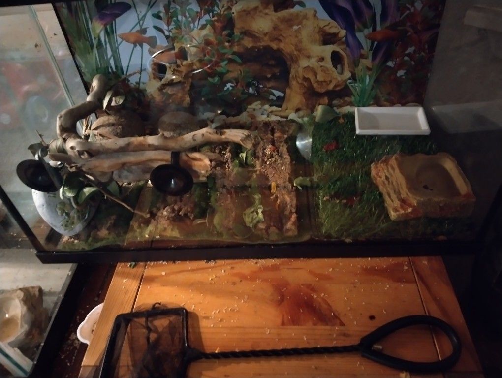 Fish Tank